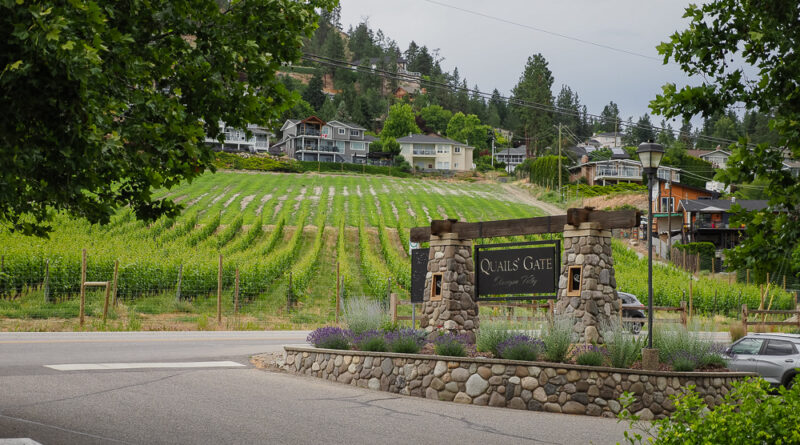 Canada’s Okanagan and Similkameen Valleys (5) Quails’ Gate