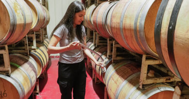 kismet winery okanagan