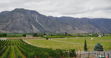 Canada’s Okanagan and Similkameen Valleys (10) Corcelettes