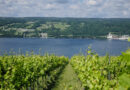 Visiting Hillick & Hobbs with winemaker Lynne Fahy – one of the most spectacular vineyards in the Finger Lakes region of New York State