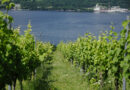 Video: Hollick & Hobbs, Seneca Lake, Finger Lakes, New York