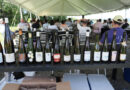 Exploring Riesling in the Finger Lakes: a seminar
