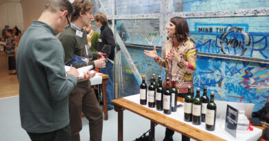 Bordeaux 2025 wines en primeur