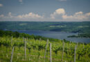 Konstantin Frank, one of the most important wineries in the Finger Lakes region of New York State