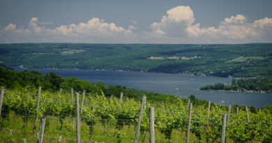 Konstantin Frank, one of the most important wineries in the Finger Lakes region of New York State