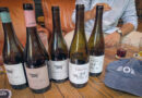 Hacienda el Ternero is making impressive wines from the north of Rioja