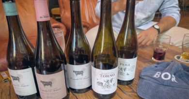 Hacienda el Ternero is making impressive wines from the north of Rioja