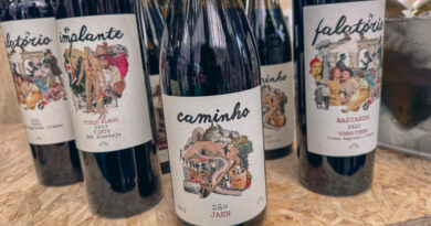 Cas ‘Amaro, a growing wine tourism and winemaking project in several Portuguese regions