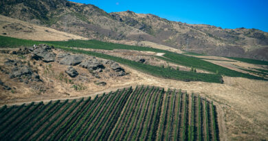 te kano, central otago