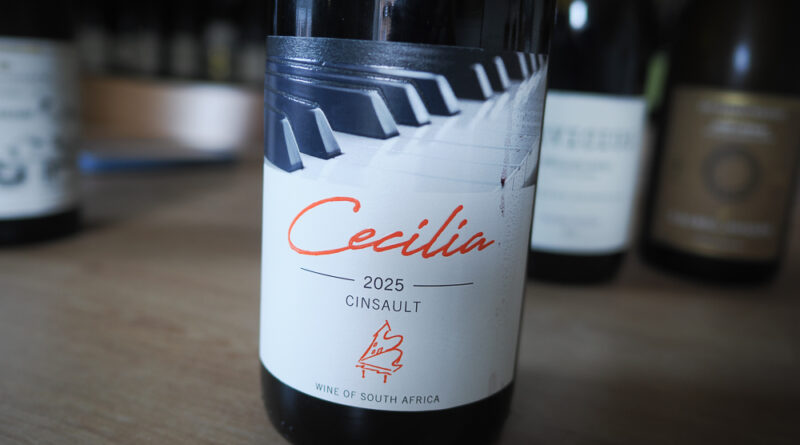 cecilia cinsault south africa
