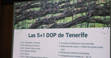 A big tasting of Tenerife wines, with some nice surprises