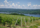 Excursions off the Riesling trail: what else can the Finger Lakes do?