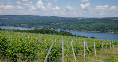 Excursions off the Riesling trail: what else can the Finger Lakes do?