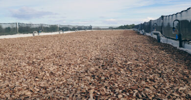 Biofiltro: cleaning up winery waste water with worm power, creating high-quality compost at the same time