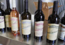Mclaren vale by Fabiano wines