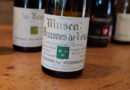 Beaumes-de-Venise exploration: Domaine des Bernardins