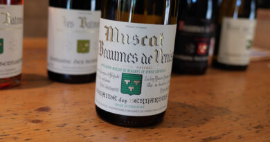 Beaumes-de-Venise exploration: Domaine des Bernardins