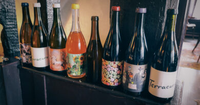 Pounding Grape: the exciting wines of Chris Groenewald, from South Africa