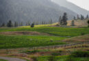 Canada’s Okanagan and Similkameen Valleys (12) Haywire and Garnet Valley Ranch