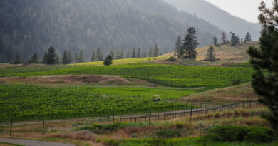 Canada’s Okanagan and Similkameen Valleys (12) Haywire and Garnet Valley Ranch