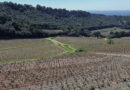 Beaumes-de-Venise exploration: Domaine du Durban
