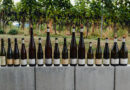 Kranz, a leading Pfalz winery, celebrates 25 years of making a single-vineyard wine from a special site called Kalmit
