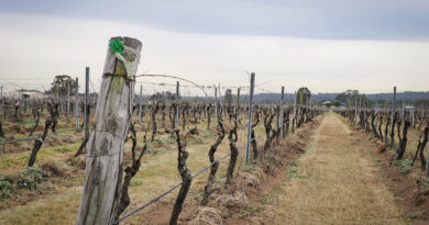 Exploring the Hunter Valley (3) Margan
