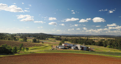 Exploring the Hunter Valley, Australia’s oldest wine region (1) introduction