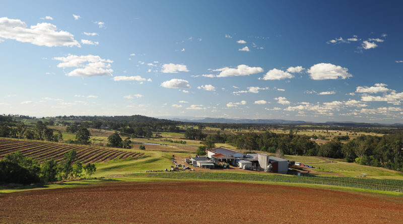 Exploring the Hunter Valley, Australia’s oldest wine region (1) introduction