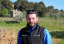 Beaumes-de-Venise exploration: Domaine Raboly