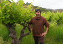 Chile maule wine region gonzalez bastias