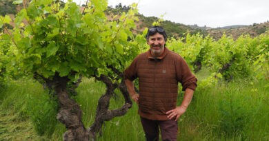 Chile maule wine region gonzalez bastias