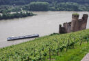 Rheingau riesling tasting