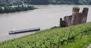 Rheingau riesling tasting