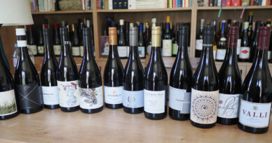 the central dozen - 12 central otago pinot noirs