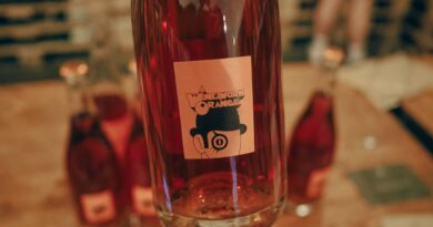 Sicus: distinctive low-intervention wines from Catalunya