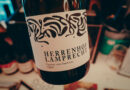 Herrenhof Lamprecht: impressive wines from volcanic Styria, with a particular focus on Furmint and field blends