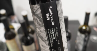 Santuvario, a natural wine producer in Alto Piemonte, Italy