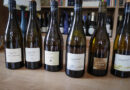 The 2025 wines from Pascal Jolivet in Sancerre