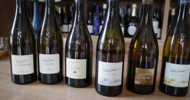 The 2025 wines from Pascal Jolivet in Sancerre