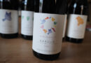Arnaldo Rivera, a top tier of wines from the overperforming Terre del Barolo cooperative